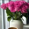 KANWAL KANWAL