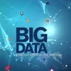 Biglytics Chennai