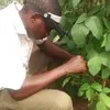 Ajayi Ademola