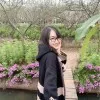 Ha Lan Vu
