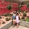 Mei Lin Wong