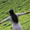 Vishnupriya