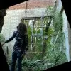 Link Capozziello