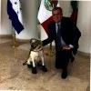 Jorge Lecona