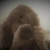 Lori Frail