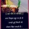 Ajay saini