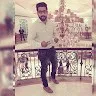 the show of highlights