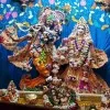 RAJEEV SHARMA