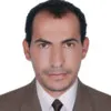 fathy gomaa