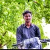 Hari haran