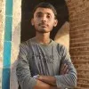 Muhammad Taraz Ansari