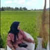 Fatia