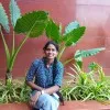 Sneha Beereddy