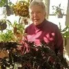 Denise Conklin