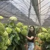Josie Yang