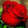 parameshwari