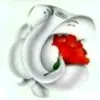 Rajesh