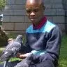 Joel Mothupi