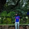 Arshad