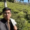 Vimal Dhiman