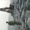 pardeep kumar
