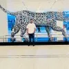 Shivans Ranjan
