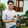 Linh Le