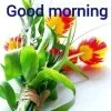 Amit Choudhary