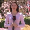 Cara