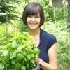 Patti Fleury