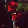 Amrin