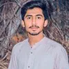 Ali Hamza