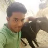 Raja sekar