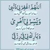 Faiza Andleeb