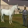 Rafat Bala