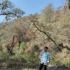 Yash Khandelwal