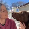 Traci Hanson