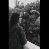 Areesha Amir