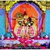 VIjay Sharma