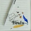 Hima Bindu Thippabathini