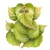 Amit Singh
