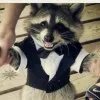 Larry Raccoon