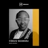 Fidelis Wangithi