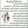 Raghdah Fawzy Saber