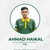 Ahmad Haikal