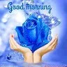 TARUN paliwal