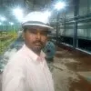 Vijay Kumar