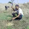 Saravanan Csmani