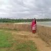 C Jothi