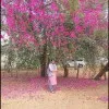 Fariza Jabeen